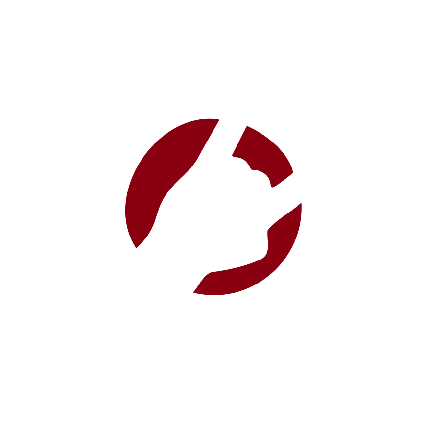 Volumen 11